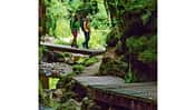 OD-0714-Luxemburg-Mullerthal-Trail-12