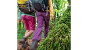 OD-0714-Luxemburg-Mullerthal-Trail-10