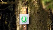 OD 2014 Harzer Hexen Stieg Brocken