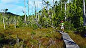OD-0113-Kanada-NorthCoastTrail-1 (jpg)