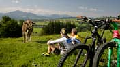 MB-Bike-Arena-Allgaeu-3 (jpg)