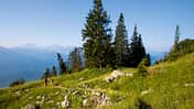 OD_0810_Chiemgau_06 (jpg)