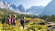 OD 1115 Woman Südtirol Dolomiten Cisles Alm Grödental Val Gardena