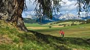 OD Südtirol Seiser Alm 3