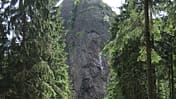 od-0715-thueringerwald-falkenstein (jpg)