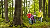 OD Abenteuer Geocaching: GPS-Schatzsuche im Wald