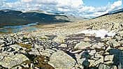 OD Weites Land: Dovrefjell in Norwegen
