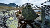OD 1009 Naturpark Norwegen Jotunheimen