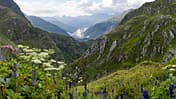 od-0418-graubuenden-maxi-special-16 (jpg)