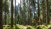 OD 0516 Schwarzwald Vergessene Pfade