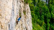 kl-schwaebische-alb-klettern-2017-20140516-kesselwand-229-teaser (jpg)
