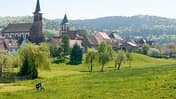 OD Die besten Frühjahrs-Ziele: Elsass