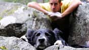 KL Hundeblick gross + breit