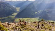 od-2018-idm-suedtirol-Vinschgau-Marketing-Frieder-Blickler_TV-Obervinschgau (jpg)