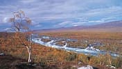 Lappland