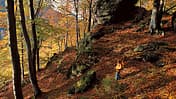 Wandern im Harz: Die schönsten Herbsttouren