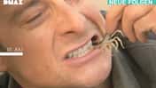 OD Bear Grylls DMAX Wildnis Survival 6.Staffel Juli 2011