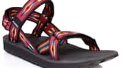 OD 0519 News Source Sandalen Stream Rot