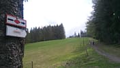 Westweg Wanderung 2019