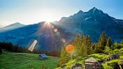 Adelboden: Bergpanorama mit Wald