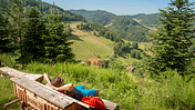 Schwarzwald Kinzigtal