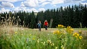 Trekking im Frankenwald 