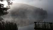 Nebel