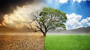 dusk,eco,spring,growing,crack,problem,deadwood,season,climate ch Green Issue 04/2022