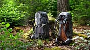 Tourenrucksäcke im Wald auf dem Boden