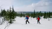 Finnland