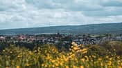 Leseraktion Schwarzwald