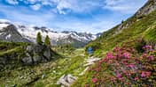 Berliner Höhenweg, Zillertaler Alpen