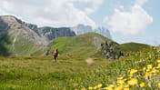 Lungiarü im Naturpark Puez-Geisler, Dolomiten