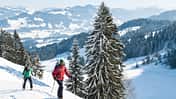 Bregenzerwald Vorarlberg Österreich Wandern Urlaub Berge Ski Skitour Winter Schnee Tristenkopf Sibratsgfäll