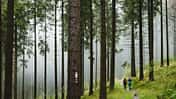 Sauerland