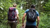 Wanderungen in der Rureifel