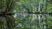 Paddeln in Mecklenburg Vorpommern