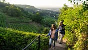 RebkulTour Radebeul in der Region Dresden Elbland, Deutschland