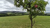 Nationalpark Hunsrück-Hochwald, Rheinland-Pfalz - Bloggerwandern 2025