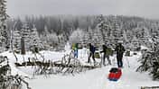 Wintertour im Bayerischen Wald un in Tschechien - Schneeschuhe - Pulka