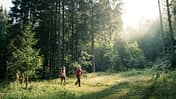 Trekking im Schwarzwald - Trekkingcamps Trekking im Schwarzwald - Trekkingcamps