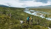Treparksmötet, in der Wildnis Nordschwedens