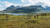 Treparksmötet, in der Wildnis Nordschwedens