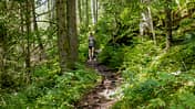 Der Querweg im Schwarzwald Der Querweg im Schwarzwald