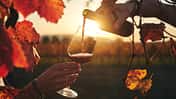 Burgenland Tourismus