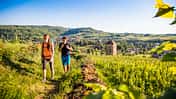 Advertorial Montagnes du Jura Juragebirge Ain Doubs Frankreich Sommer Wandern Radfahren Slow Tourism
Randonnée sur l'Echappée Jurassienne - Arbois