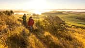 Rother Kopf bei Müllenborn, Vulkaneifel im Herbst