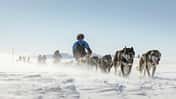 Fjällräven Polar 2027