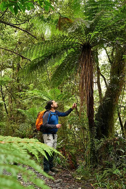od-1116-neuseeland-milford-sound-8 (jpg) od-1116-neuseeland-milford-sound-8 (jpg)