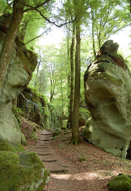 OD 0611 Trail und Touren Ann16_Luxemburgische_Schweiz_Labyrinth_im_Muellertal (jpg) OD 0611 Trail und Touren Ann16_Luxemburgische_Schweiz_Labyrinth_im_Muellertal (jpg)